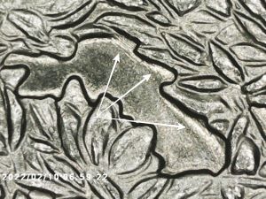 2000-P-Washington-Quarter-Doubling